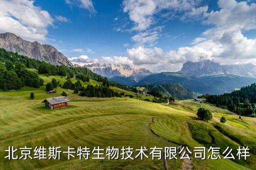 维斯卡特汽配厂地址查询，沌口美国威斯卡特公司是做什么的