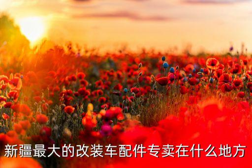 新疆最大的改装车配件专卖在什么地方