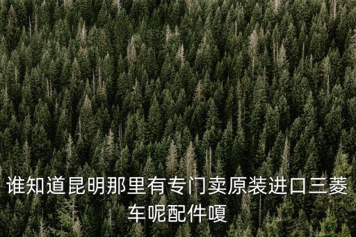谁知道昆明那里有专门卖原装进口三菱车呢配件嗄