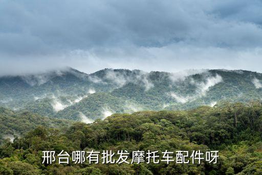 任县晨亮汽配电话地址，邢台哪有批发摩托车配件呀