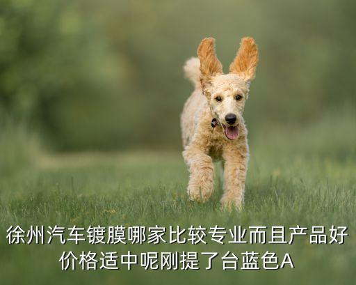 徐州汽配城货车贴膜店地址，现在徐州哪家汽车贴膜店最好最好是真货