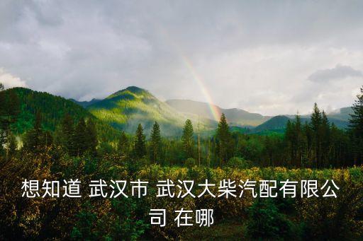 想知道 武汉市 武汉大柴汽配有限公司 在哪
