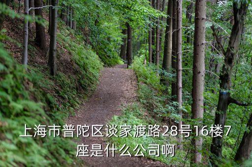 上海市普陀区谈家渡路28号16楼7座是什么公司啊
