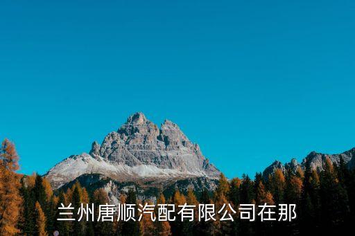 兰州唐顺汽配有限公司在那