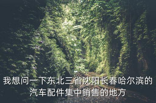 我想问一下东北三省沈阳长春哈尔滨的汽车配件集中销售的地方