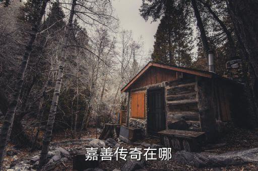 嘉善传奇在哪