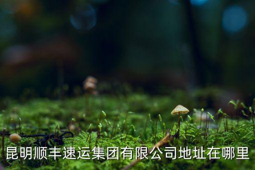昆明顺丰汽配城地址，昆明顺丰速运集团有限公司地址在哪里