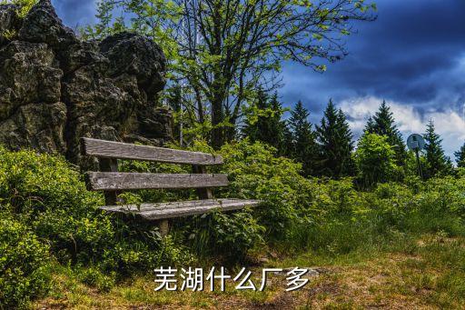 芜湖什么厂多