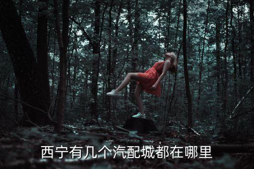 西宁有几个汽配城都在哪里