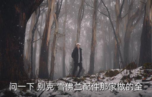 问一下 别克 雪佛兰配件那家做的全