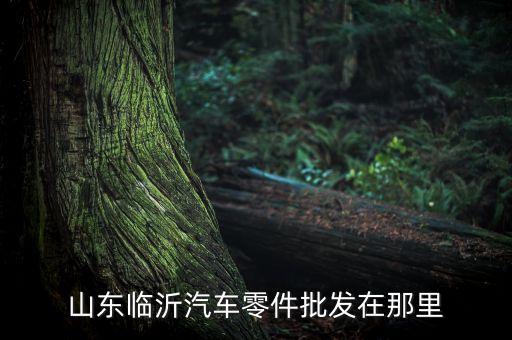 临沂汽配城周围物流园地址，山东临沂汽车零件批发在那里
