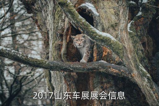 2017山东车展展会信息