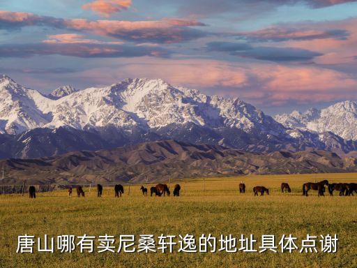 唐山尼桑日产汽配厂地址，尼桑配件产地是哪里