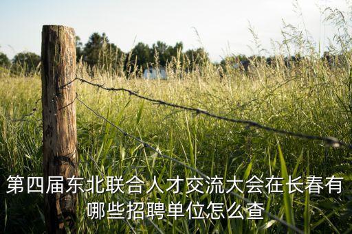 第四届东北联合人才交流大会在长春有哪些招聘单位怎么查