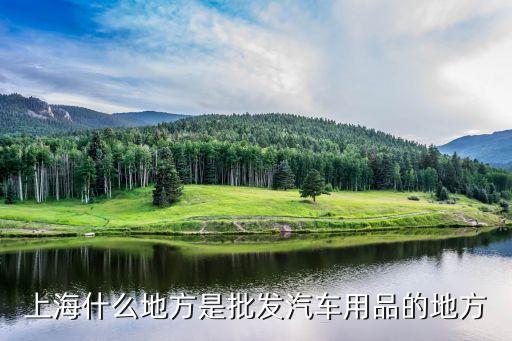 杨浦区汽配经营部地址，杨浦的汽配城