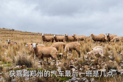 获嘉到郑州的汽车最后一班是几点