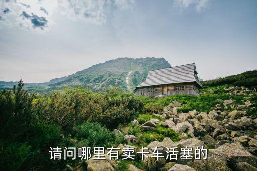 请问哪里有卖卡车活塞的