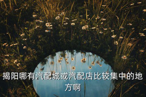 揭阳哪有汽配城或汽配店比较集中的地方啊