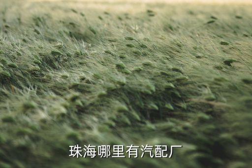 珠海哪里有汽配厂