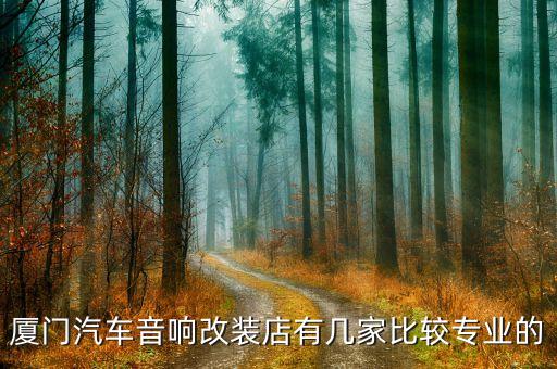 厦门汽车音响改装店有几家比较专业的