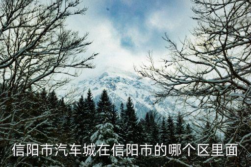 信阳市汽车城在信阳市的哪个区里面