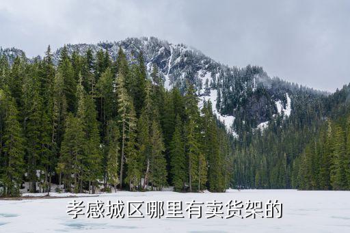 孝感城区哪里有卖货架的