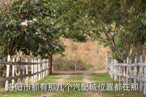 洛阳市都有那几个汽配城位置都在那