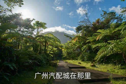 广州汽配城在那里
