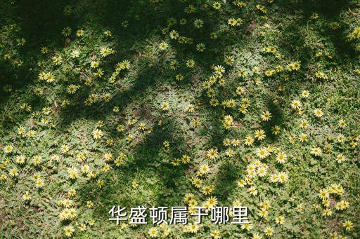 华盛顿汽配城地址查询官网，washington
