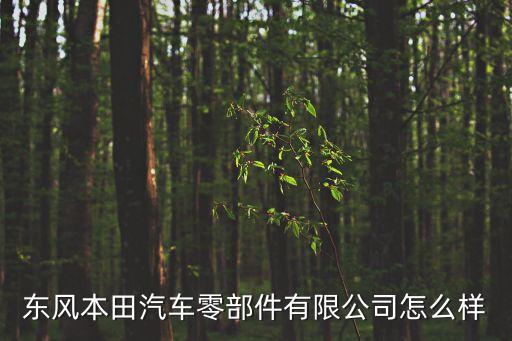 东风本田汽车零部件有限公司怎么样