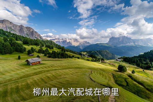 柳州最大汽配城在哪里