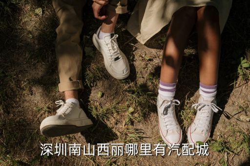 深圳南山西丽哪里有汽配城