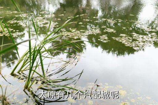 太原有几个汽配城呢