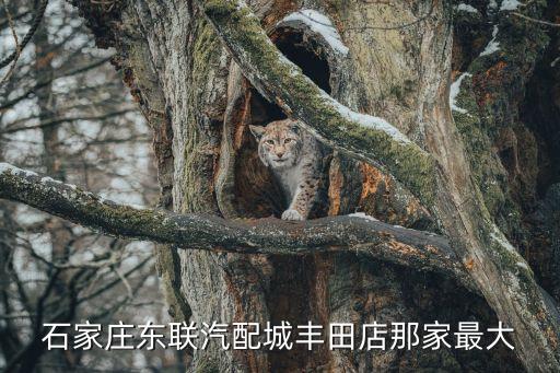 汽配城丰田专卖店地址查询，石家庄东联汽配城丰田店那家最大