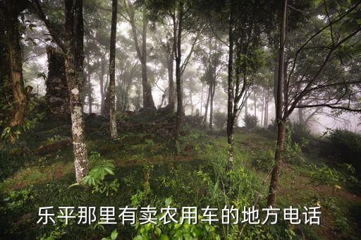 乐平那里有卖农用车的地方电话