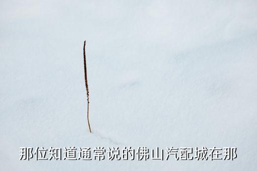 那位知道通常说的佛山汽配城在那