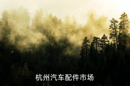杭州汽车配件市场