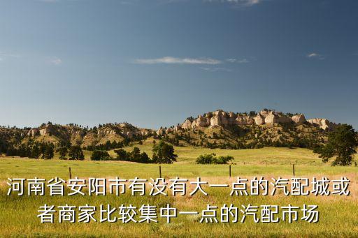 河南省安阳市有没有大一点的汽配城或者商家比较集中一点的汽配市场
