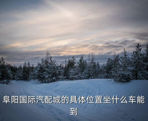 阜阳国际汽配城的具体位置坐什么车能到