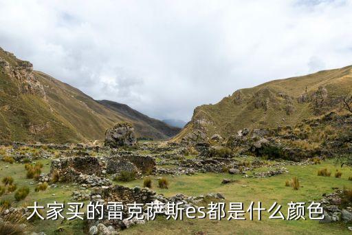 广州金大汽配，大家买的雷克萨斯es都是什么颜色