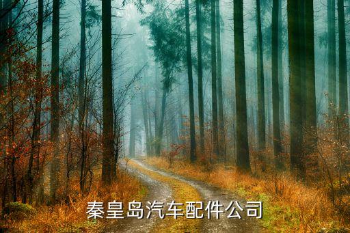 秦皇岛汽车配件公司