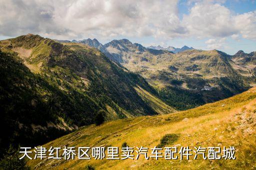 天津红桥区哪里卖汽车配件汽配城