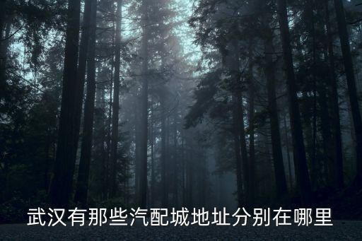 凤城五路附近汽配城地址，武汉有那些汽配城地址分别在哪里