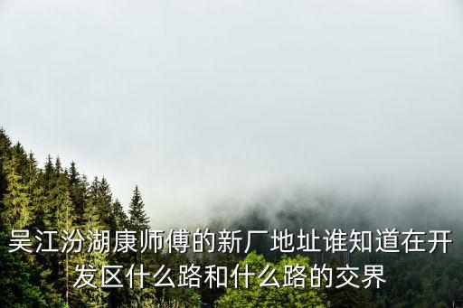 吴江汾湖康师傅的新厂地址谁知道在开发区什么路和什么路的交界