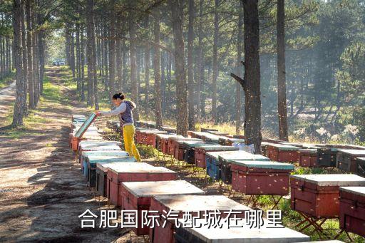国际汽配五金城地址，合肥国际汽配城在哪里