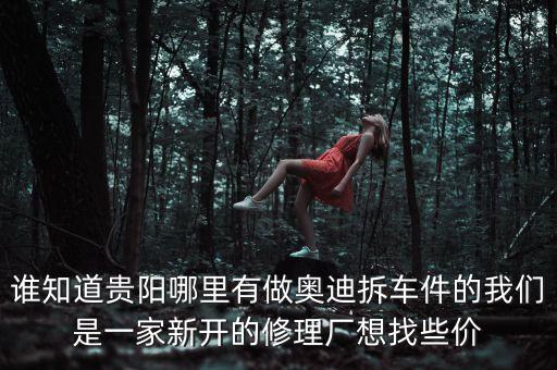 谁知道贵阳哪里有做奥迪拆车件的我们是一家新开的修理厂想找些价
