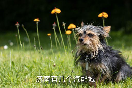 济南有几个汽配城