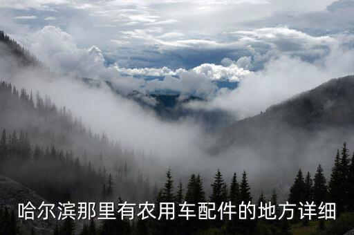 哈尔滨那里有农用车配件的地方详细