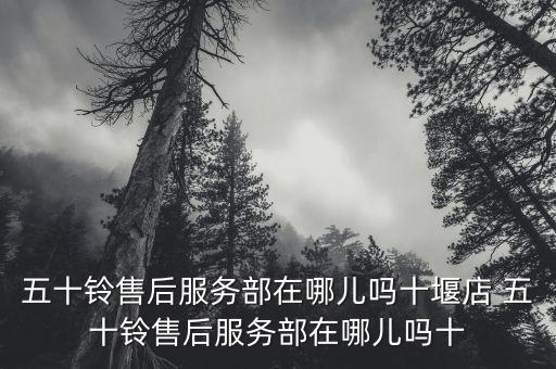 五十铃售后服务部在哪儿吗十堰店 五十铃售后服务部在哪儿吗十