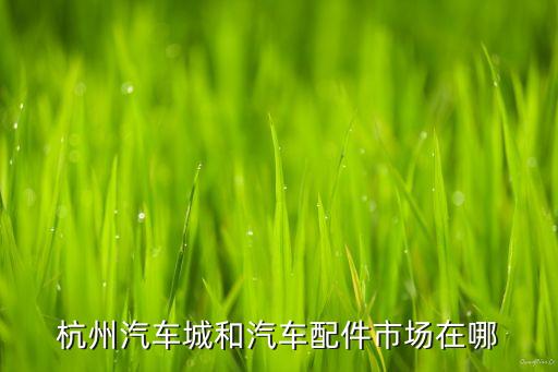杭州汽车城和汽车配件市场在哪